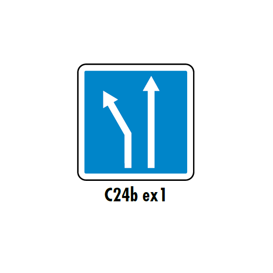 c24b_ex1